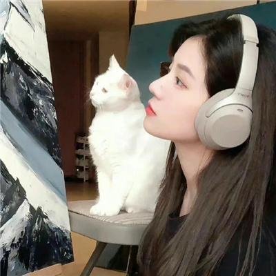 傲慢与偏见